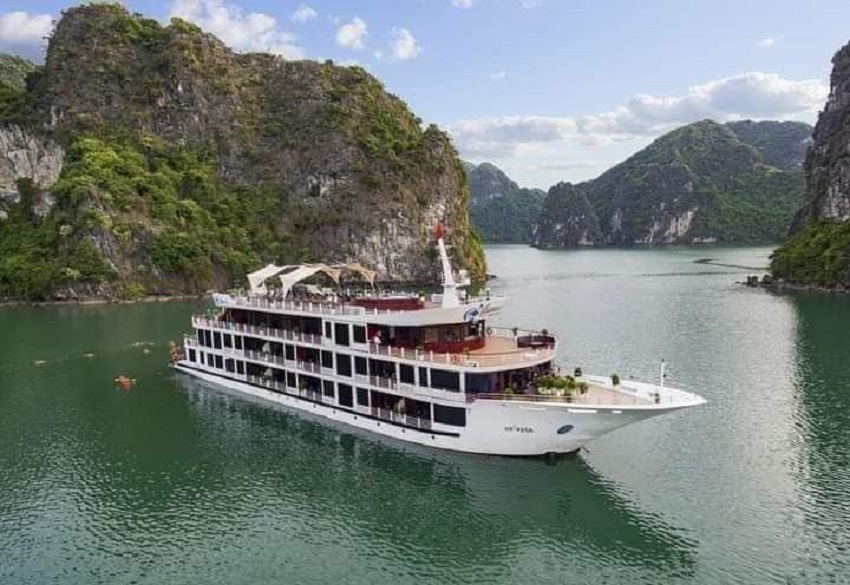 Tổng quan