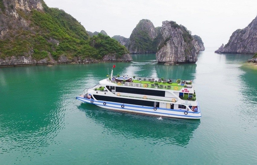 Tổng quan