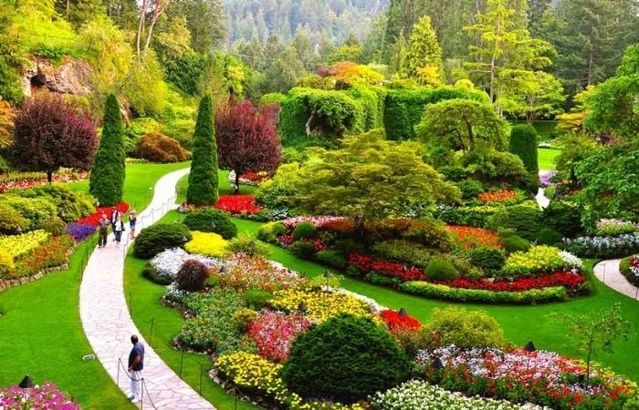 Vườn hoa Butchart Gardens rực rỡ sắc màu tại Victoria, Canada