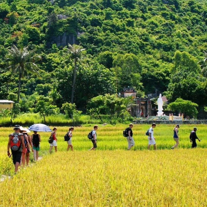 Gợi ý lịch trình du lịch Cù Lao Chàm bằng cao tốc