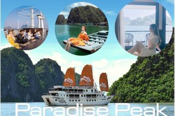 Check-in du thuyền Paradise Peak trải nghiệm hành trình khó quên trên vịnh di sản